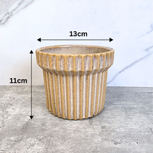 Load image into Gallery viewer, Willy Flowerpot
