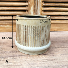 Load image into Gallery viewer, Savoy Flowerpot

