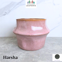 Load image into Gallery viewer, Harsha Flowerpot
