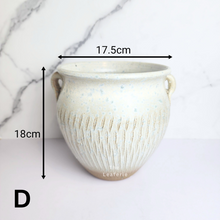 Load image into Gallery viewer, The Leaferie Anya Big pot ($ designs ceramic material
