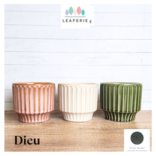 Load image into Gallery viewer, Dieu Flowerpot (3 Colors)
