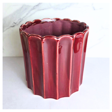 Load image into Gallery viewer, Solara red ribbed ceramic planter with 'LEAFERIE' flowerpot
