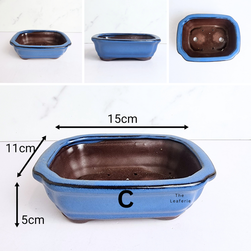 The Leaferie bonsai series 58 blue range 6 designs