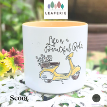 Load image into Gallery viewer, Scoot Flowerpot
