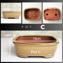 Load image into Gallery viewer, The Leaferie Tally Bonsai pot Series 3. large bonsai planter. design Pot C brown colour
