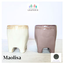 Load image into Gallery viewer, Maolisa Flowerpot
