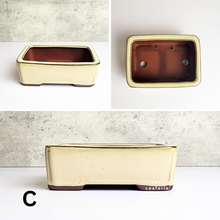 Load image into Gallery viewer, The Leaferie Petit Bonsai Series 9. rectangular bonsai pot. ceramic and 3 colours. front view of design C
