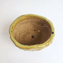 Load image into Gallery viewer, The Leaferie Handmade MILA pot. terracotta material
