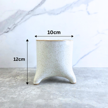 Load image into Gallery viewer, Adrienne Flowerpot
