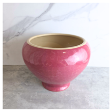 Load image into Gallery viewer, The Leaferie Junia red ceramic flowerpot
