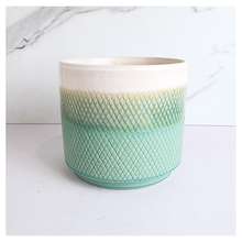 Load image into Gallery viewer, Mistra Teal textured  in a pot with &#39;LEAFAERIE&#39; branding on a white background

