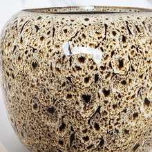 Load image into Gallery viewer, The Leaferie Brooke flowerpot. ceramic material . black and beige colour
