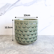 Load image into Gallery viewer, Cyrus Flowerpot
