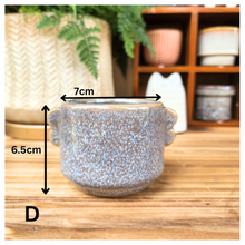 Load image into Gallery viewer, Petit Flowerpots (Series 5)
