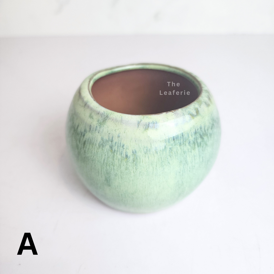The Leaferie Petit Bonsai series 45. 5 colours ceramic pot for succulents