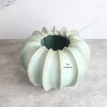 Load image into Gallery viewer, The Leaferie Mossen green ceramic pot. 

