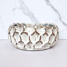 Load image into Gallery viewer, The Leaferie Lily Shallow flowerpot. white ceramic pot
