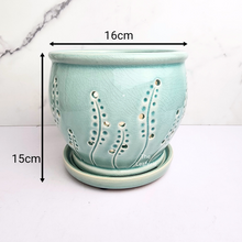 Load image into Gallery viewer, The Leaferie Liane orchid pot with holes and matching tray. ceramic material
