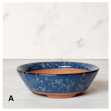 Load image into Gallery viewer, Petit Bonsai Flowerpot (Series 11)
