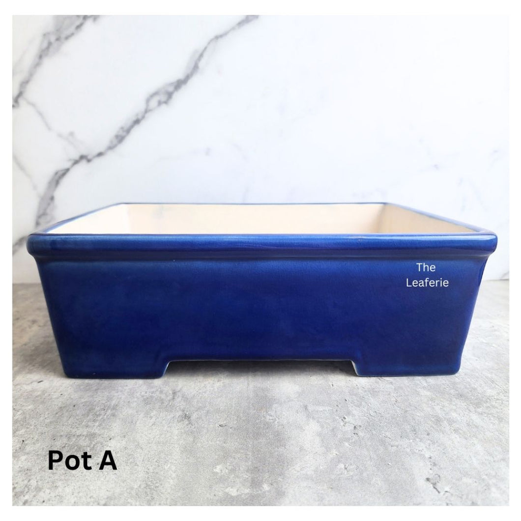 Bonsai Flowerpot (Series 61) Rectangular