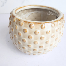 Load image into Gallery viewer, The Leaferie Cedro beige ceramic pot. small planter
