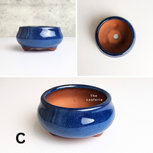 Load image into Gallery viewer, The Leaferie Petit Bonsai series 13 . 3 designs. blue theme bonsai pots. ceramic planter. photo of design C
