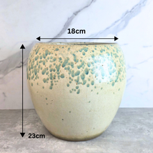 Load image into Gallery viewer, Avenelle Big Flowerpot
