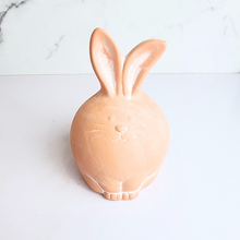 Load image into Gallery viewer, The Leaferie Antonio garden decoration 2 designs of Rabbit and cat. terracotta material
