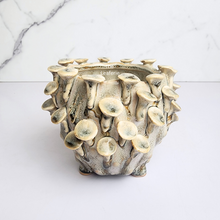 Load image into Gallery viewer, The Leaferie Handmade Moti Flowerpot. ceramic material
