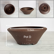 Load image into Gallery viewer, The Leaferie Tally Bonsai pot series 1 . 4 designs .front view o f Pot D
