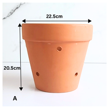Load image into Gallery viewer, HANNA Terracotta Flowerpot with Holes (Tall) 6 sizes
