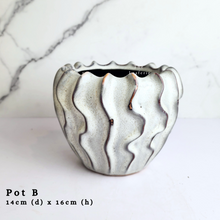 Load image into Gallery viewer, The Leaferie AS-Is May 2024. 12 pieces ceramic pots
