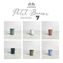 Load image into Gallery viewer, Petit Bonsai Pot (Series 7)
