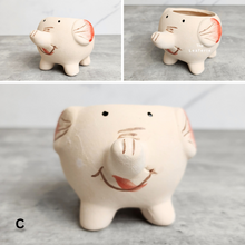 Load image into Gallery viewer, The Leaferie Allie Animal Series 3. 6 designs ceramic mini pots. Design C
