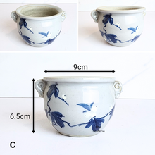 Load image into Gallery viewer, The Leaferie Petit Allegra Serie 6. 4 designs ceramic pot
