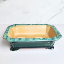 Load image into Gallery viewer, The Leaferie Bonsai Tally Series 7. green rectangular pot.
