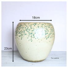 Load image into Gallery viewer, The Leaferie Avenelle big ceramic pot with green speckles. 
