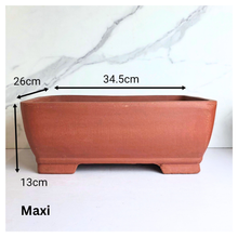 Load image into Gallery viewer, Bonsai Rectangular (Series 2)
