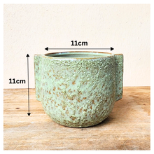 Load image into Gallery viewer, Gwenhael Flowerpot
