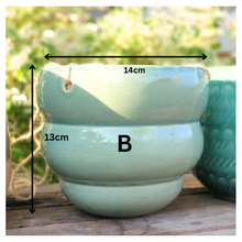 Load image into Gallery viewer, Lyon Hanging Flowerpot (Series 1)

