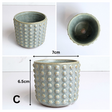 Load image into Gallery viewer, Petit Flowerpots (Series 10)
