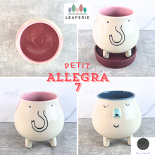 Load image into Gallery viewer, The Leaferie Petit Allegra 7. 2 pot color with face design
