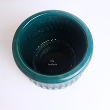 Load image into Gallery viewer, The Leaferie fountaine Teal ceramic pot
