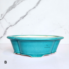 Load image into Gallery viewer, The Leaferie Bonsai pot Series 65. ceramic pot 2 colours
