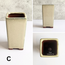 Load image into Gallery viewer, The Leaferie Petit Bonsai series 3 . Beige theme 4 designs . ceramic mini pots. photo of all design C
