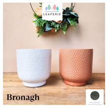 Load image into Gallery viewer, Bronagh Flowerpot
