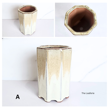 Load image into Gallery viewer, The Leaferie Bonsai Series 80. 4 colours ceramic material
