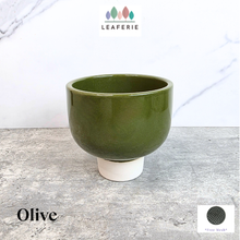 Load image into Gallery viewer, Olive Flowerpot
