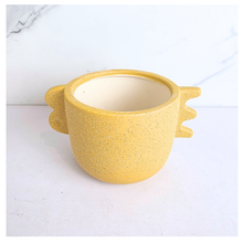 Load image into Gallery viewer, Axel Flowerpot
