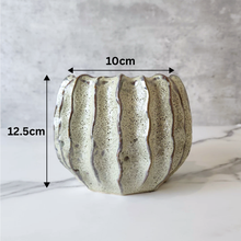 Load image into Gallery viewer, Haruka Flowerpot
